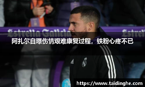 米兰体育官网